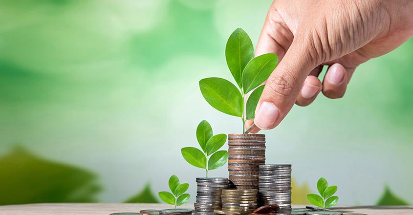 money grow 1 money grow 1